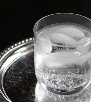 DIY Summer Seltzer Season DIY Seltzer from Wonderland Kitchen